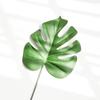 Accesorios de fotografía con hojas estilo Ins, adornos para decoración de uñas, fondo de tela para fotografía de Taobao