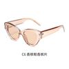 GLAZZY Europa y Estados Unidos gafas de sol de montura gruesa tipo ojo de gato transfronterizas gafas de sol para hombre y mujer Amazon gafas al por mayor protección UV Octubre individual