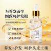 Cubeta personalizada de fábrica Champú Anti-picazón y Anticaspa para el hogar Anti-descamación Fijador de cabello Acondicionador Aceite para el cabello traje