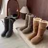 Botas de neve cinzas forradas com pelo para mulheres 2026 novo estilo moderno retrô de duas vias altura média da panturrilha mais veludo não acima do joelho botas de montaria