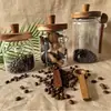 Vidro Borossilicato Alto Madeira de Bambu Madeira de Acácia Tampa com Cabo Colher Pote para Temperos Armazenamento Garrafa para Temperos à Prova de Umidade Lata para Café e Especiarias