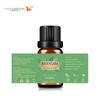 Óleos Essenciais de Aromaterapia à Base de Plantas, Óleos Personalizados de Rosa e Lavanda, Etc., 42 Tipos Disponíveis, Fornecimento Direto da Fábrica, Em Estoque, Atacado a partir de Uma Peça
