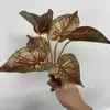 Hoja de Palma Roja Pequeña Plantas Verdes Artificiales Hojas Artificiales Accesorios DIY Boda Decoración del Hogar Hojas de Cinta de Ratán