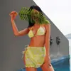 Biquíni de Comércio Exterior Maiô Feminino Estilo Ins Coreano Férias Sexy Três Peças Dividido Roupa de Banho para Fonte Termal