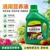Solución Nutritiva Universal para Plantas de Jardín en Casa, Plantas Verdes, Plantas en Maceta, Bambú de la Suerte, Ficus Verde, Fertilizante de Solución Nutritiva Concentrada Hidropónica