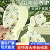 Plantillas Desodorantes, Antibacterianas, Anti-Olor, Absorbentes de Sudor, Transpirables, Cómodas, Suaves, para Zapatos de Cuero de Hombre y Mujer, Plantillas para Zapatos Deportivos, Plantillas para las Cuatro Estaciones