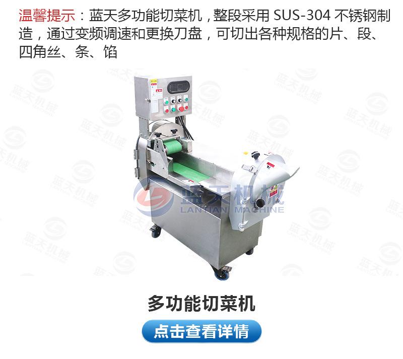 板蓝根烘干机_23.jpg