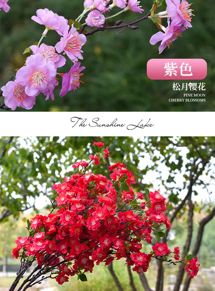详情_12.jpg