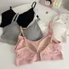 Estudiante femenina ropa interior inalámbrica estilo coreano belleza de niña espalda bonita top de tubo de una pieza verano fino realza el busto tirante pequeño sujetador