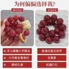 Cinábrio para pulseira de raiz de Bodhi escultura seis palavras provérbios masculinos e femininos Ano Novo vermelho ano de nascimento Bodhi Zi Wenwan atacado