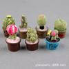 Planta de Resina de Musgo en Miniatura Paisaje DIY Mini Casa de Muñecas Suculenta en Maceta Cactus Accesorios Adornos Decorativos