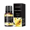 Humidificador soluble en agua de 10 ml, aceite esencial de aromaterapia, aceite esencial de aromaterapia de lavanda y rosa, fuente de fábrica al por mayor.