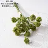 Ailala Ouriço Fruta Mão Nota Simulação Flor Fabricante Flor Artificial Plantas Verdes Atacado Decoração de Casamento Artesanato Estilo INS
