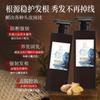 Shampoo Anti-Queda de Cabelo Folha de Platycladus Orientalis, Óleo Controlador de Caspa de Sabugueiro, Extrato de Ervas Nutritivo para Cabelos de Ganoderma Lucidum e Angélica Shampoo Anti-Queda de Cabelo Herbal