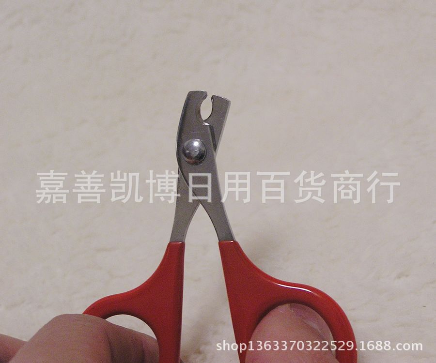 P1010138
