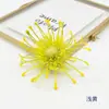 Flores Artificiales Plástico Aguja-Aguja Crisantemo Transfronterizo Más Vendido Caja de Flores Corona de Navidad Arreglo Floral Sombrero de Doctor Decoración DIY Crisantemo Pinza de Cangrejo