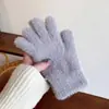 Moda Otoño e Invierno Guantes Cálidos de Felpa de Dedo Completo Material de Piel Sintética de Visón Nuevo Estilo Coreano Guantes Gruesos Cálidos con Forro de Felpa