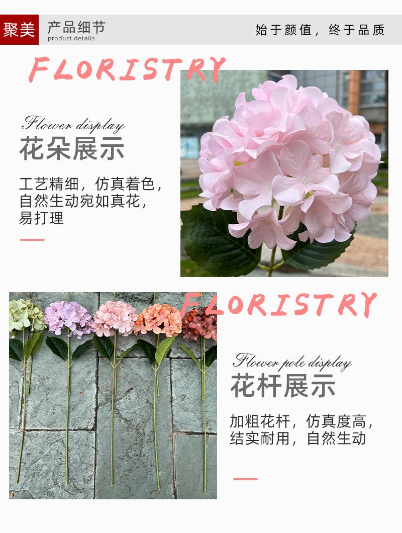 详情_04.jpg