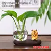 Gatito pescando, panda, rana, gato siamés, planta pothos, jarrón hidropónico, adorno de escritorio, decoración de escritorio de oficina