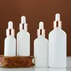 Botella dispensadora de aceite esencial Vidrio blanco mate Botella vacía Portátil Viaje Dispensador Muestra Botella Gotero con punta de plástico Botella de esencia