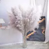 Caña Larga Vietnamita Flor Seca de Yunnan Ramo Decoración Esponjoso Fotografía de Boda Del Suelo al Techo Paisajismo Flor Inmortal Natural