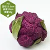 Juguete de Berenjena Grande Modelo de Fruta Vegetal Falsa Biónica Arreglo de Escena Adorno de Cocina Accesorio de Fotografía Vegetal de Imitación