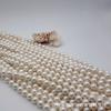 Perlas de Concha, Cuentas de Concha, Perlas Redondas de Concha, Cuentas Sueltas Blancas y de Colores, Accesorios para Joyería, Cuentas de Concha Blancas y Multicolor