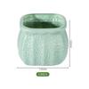 Maceta de Plástico Imitación Cerámica Estilo Nórdico Personalidad Creativa Borde Dorado Pothos Maceta para Suculentas Jarrón Retro Fabricante Venta al por Mayor