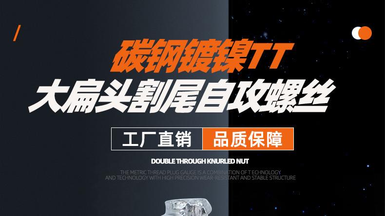 镀镍TT十字大扁头平尾自攻螺丝_01_01.jpg