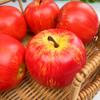 Fábrica de Origen Frutas y Verduras Artificiales Altas Venta al por Mayor Modelo de Manzana Roja Falsa Decoración del Hogar Accesorios de Fotografía Educación Temprana