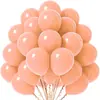 Balões de Aniversário Amazon 10 polegadas Conjunto de Balões de Cor Sólida Balões para Decoração de Feriado Balões Metálicos Foscos Maca
