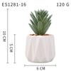 Planta Suculenta Simulada Macetas, Decoración de Muebles de Oficina Nórdicos, Nuevas Suculentas Bonsái Simuladas de Alta Calidad para el Hogar