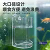 Alimentador para pecera con diseño de ventosa, evita que la comida para peces flote y se hunda, fija el área de alimentación, alimentador acrílico para peces