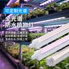 Lámpara LED de espectro completo para el crecimiento de plantas, lámpara T8 para plantas de interior, lámpara para el crecimiento de plántulas de vegetales suculentos y cultivo de tejidos.