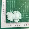 Nuevo Lazo de Encaje Dulce, Accesorio para el Cabello Broche 3D Fresco y Esponjoso, Accesorio para Ropa, Zapatos y Sombreros
