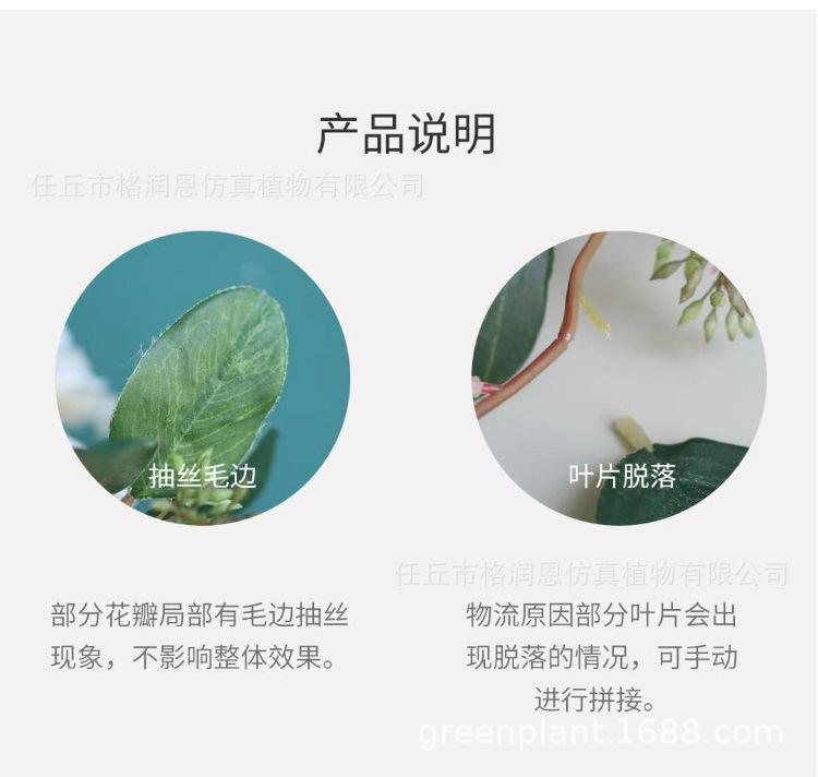 详情_23.jpg