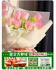 Venta al por mayor de 5 bulbos de tulipán en stock, florecen en todas las estaciones, fáciles de cuidar, adecuados para cultivo hidropónico, de pétalos dobles, para cultivo en tierra o maceta en el balcón