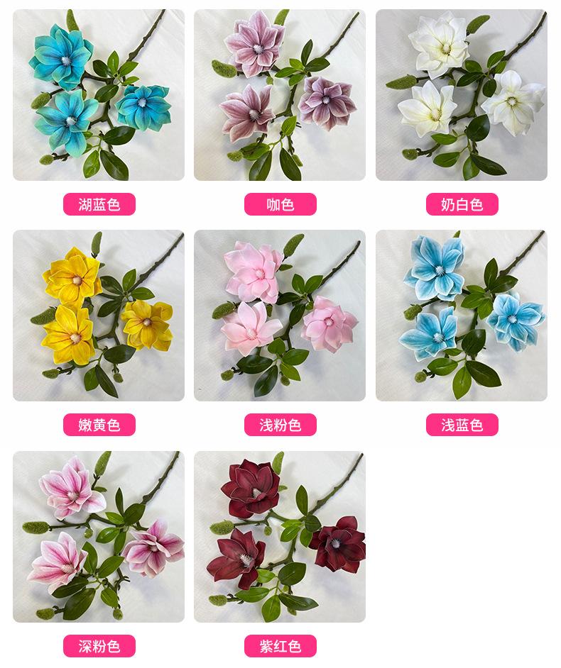 产品颜色 (1).jpg