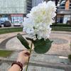 Hortensia verde hidratante de comercio exterior, tacto suave de goma, hortensia de una sola cabeza, hortensia grande, decoración suave para bodas, fabricante de flores falsas