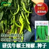 Semillas de Pimienta Rey Pimienta de Res Huerto de Verduras Base Maduración Media-Tardía Picante Moderado Semillas de Verdura Pimienta de Cuerno