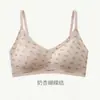 Ventas Directas de Fábrica Popular Transfronterizo Retro Estampado de Leopardo Sujetador con Copas Fijas Push-Up Pecho Pequeño Sujetador Elevador con Tira de Gel Verano