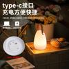 Nova luminária portátil em formato de ovo com controle remoto para carregamento, ideal para iluminação ambiente externa, como uma barra de luz noturna, luminária de mesa portátil para camping e barraca.