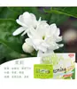 Perfume para carro puro natural direto da fábrica fragrância para carro perfume para carro perfume para carro criativo grande capacidade cheiro líquido