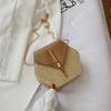 Ventas Directas de Fábrica Ins Nueva Bolsa para Mujer Nueva 2020 Moda Bolso de Paja con Borla y Cadena Versátil Bolso de Hombro Cruzado