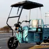 Toldo a Prueba de Lluvia para el Extremo Delantero de Triciclo Eléctrico, Accesorios de Plástico, Techo Completamente Cerrado, Material Compuesto