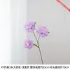 3 flores artificiales de dalia con pétalos multicapa, llenas y tridimensionales, colocadas en un jarrón en la sala de estar para crear una escena floral suave