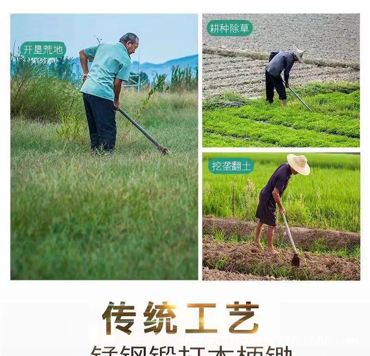 未标题-1_06.jpg