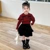 Conjunto de Suéter e Veludo para Meninas de Comércio Exterior, Estilo Primavera e Outono, Moda Coreana para Meninas Pequenas, Roupa Infantil Elegante de Duas Peças