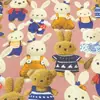 Tecido para roupa de cama de sarja de algodão puro material estreito para colcha de solteiro lençol de cama de dormitório estudantil cartoon Cortina Coelho