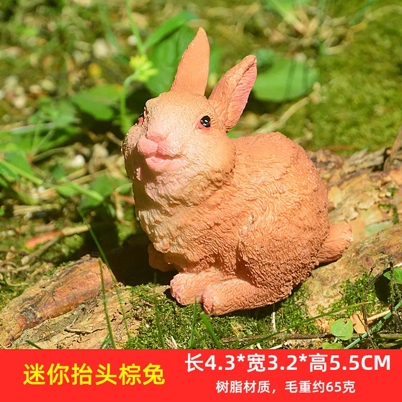 迷你抬头棕兔
